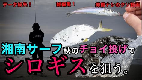 【雑編集】湘南サーフで秋のちょい投げ釣りを楽しむ。 Youtube