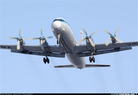 Ilyushin Il-22 Bizon - Russia - Air Force | Aviation Photo #1667665 ...