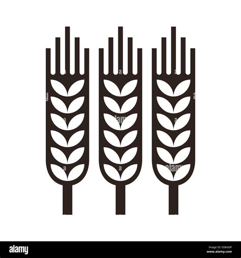 Wheat Stalk Silhouette Hi Res Stock Photography And Images Alamy