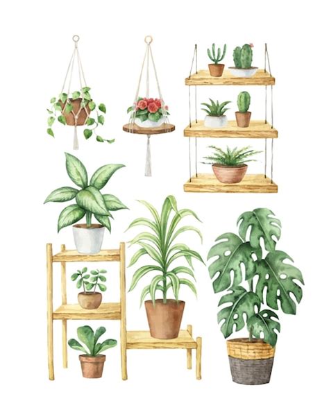 Decoración De La Habitación Estética Vectorial De Acuarela Y Plantas De Interior Vector Premium