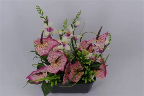 Jardinière 25 cm anthuriums et orchidées ROSE Cesar fleurs