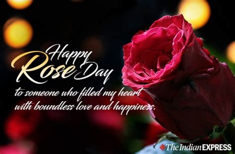 10 Rose Day 2021 Wishes Images Quotes Status Messages Photos