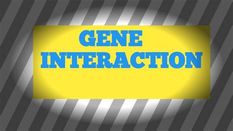 Gene Interaction In Hindi Epistasis Csir Net YouTube