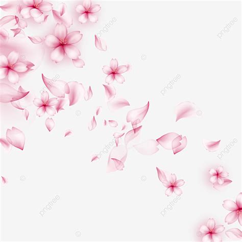 Borda De Flor De Cerejeira Com Efeito De Luz Rosa Romântico Png Rosa