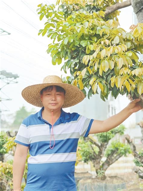 羊城晚报 广州花都“花田故事”里的绿色传承