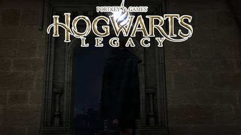 Hogwarts Legacy Der Raum Der W Nsche Let S Play Youtube