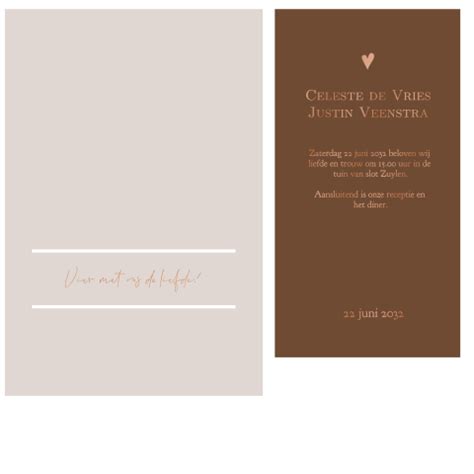 Moderne Insteekkaart Nude Droog Bloemen