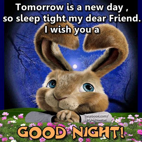 Tomorrow Is A New Day So Sleep Tight My Dear Friend I Wish You A Good