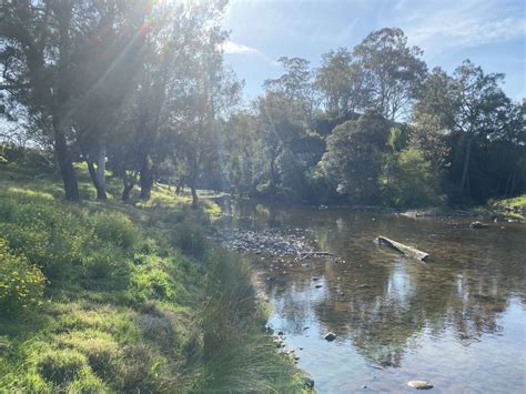 Eudlo Riverside Camp Hipcamp In Lostock New South Wales