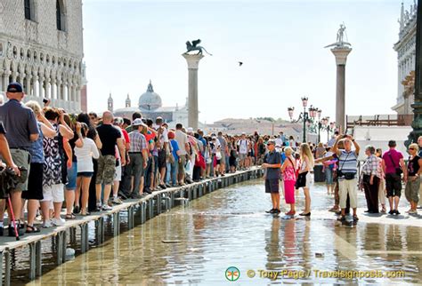 Acqua Alta | Venice Acqua Alta | Flooding in Venice