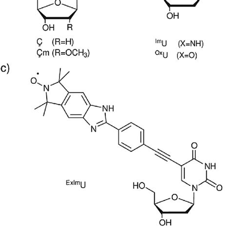 Isoindoline Derived Spin Label Paired To Adenine The Angles Between