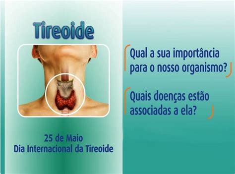 Tireoide Qual a sua importância para o nosso organismo Quais doenças