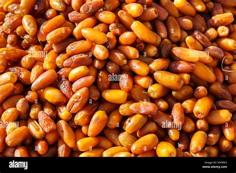 Dates In Tunisian Market Sidi Bou Said Tunisia Stock Photo Alamy