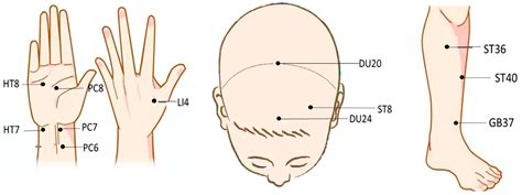 Brain Sciences Free Full Text Advances In Non Invasive