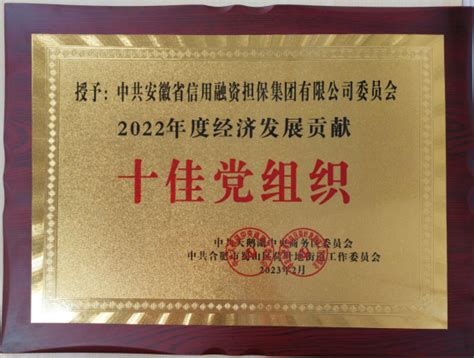 助力属地发展 践行国企担当——集团党委荣获“2022年度经济发展贡献十佳党组织”称号安徽省信用融资担保集团有限公司