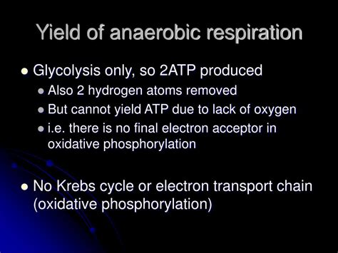 Ppt Anaerobic Respiration Powerpoint Presentation Free Download Id 6173306