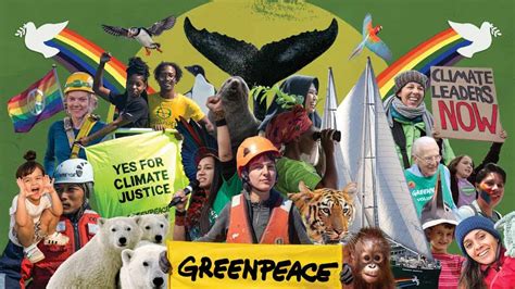 Visión De Greenpeace 2023 El Mundo Que Todos Queremos Ver Greenpeace