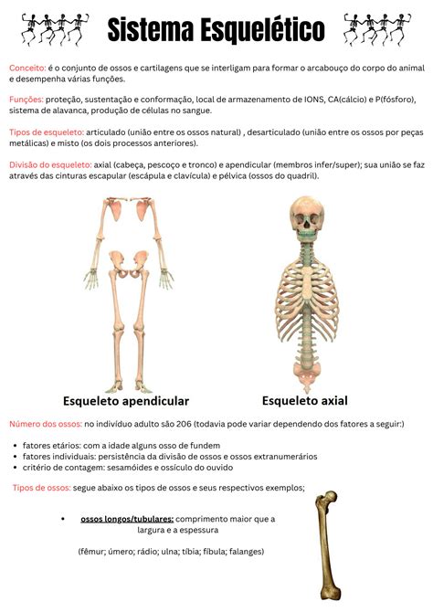 SOLUTION Sistema Esqueletico Studypool