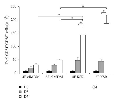 Hematopoietic Colony Forming Units And Differentiation Capacity Of Download Scientific Diagram