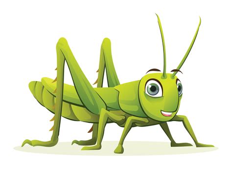 Cute Grasshopper Cartoon Illustration Green Locust Isolated On White Background 21623846 Vector