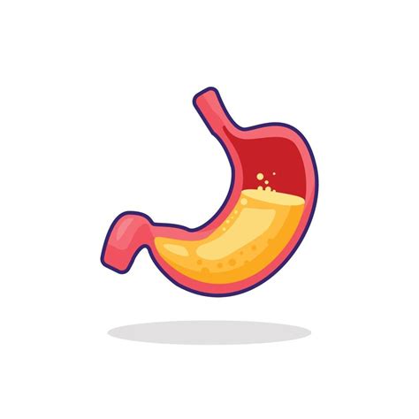 Vector Stock Illustration Acid Liquid Inside Human Stomach