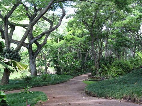 Allerton National Tropical Botanical Gardens, Koloa, HI — Sunshine and ...