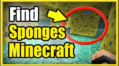 2 Ways To Get A Sponge In Minecraft Find Sponge Room And Slay Elder