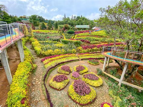 6 Most Beautiful Flower Gardens In The Philippines Visminph