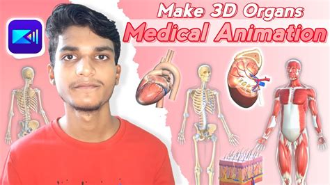 How To Make 3d Medical Animation In Mobile Make 3d Human Organs