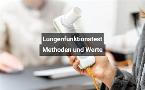 Alveolen Lungenbl Schen Aufbau Funktion Klinik Medi Karriere