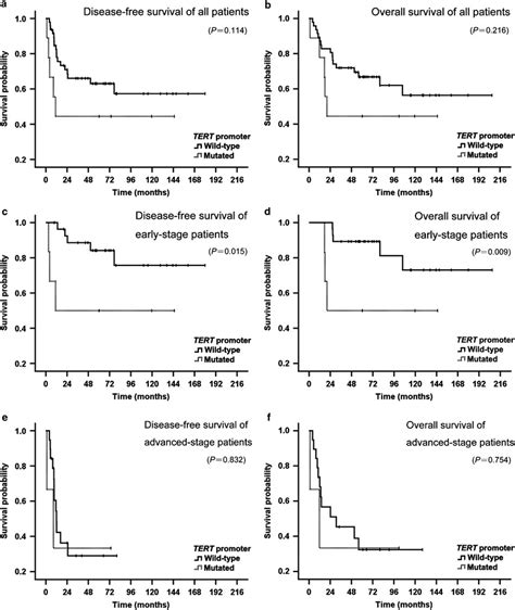 Molecular Alterations In Endometrial And Ovarian Clear Cell Carcinomas