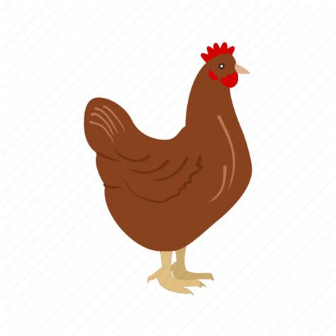 Animal Bird Chicken Farm Hen Hens Poultry Icon