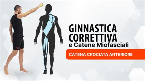 Ginnastica Correttiva Catena Crociata Anteriore Youtube