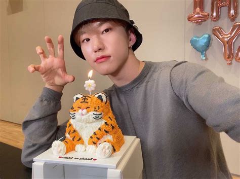 세븐틴 SEVENTEEN on Twitter Seventeen Tiger cake Hoshi