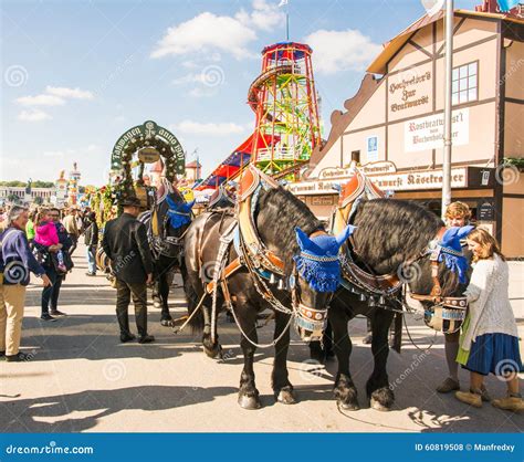 Haflinger Horses Pulling Beer Barrels At Oktoberfest Editorial Stock