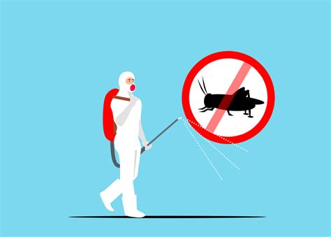 8 Best Pest Control Services In Singapore For Effective And Affordable