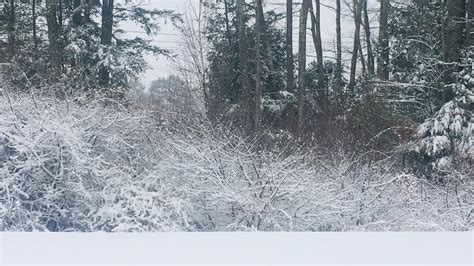 A glow of snow in Maine | newscentermaine.com