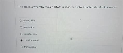 Solved The Process Whereby Naked DNA Is Absorbed Into A Chegg