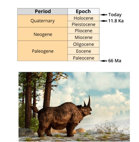 M8 Late Pleistocene Megafaunal Extinctions Flashcards Quizlet