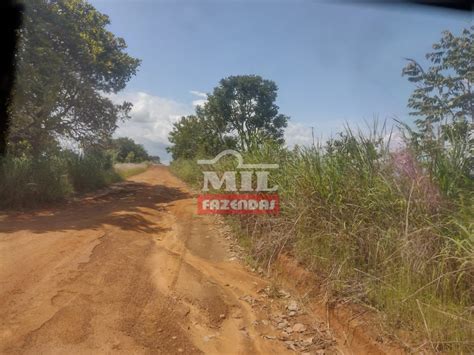 Mil Fazendas Fazenda A Venda No Vale Do Araguaia To Rea Total