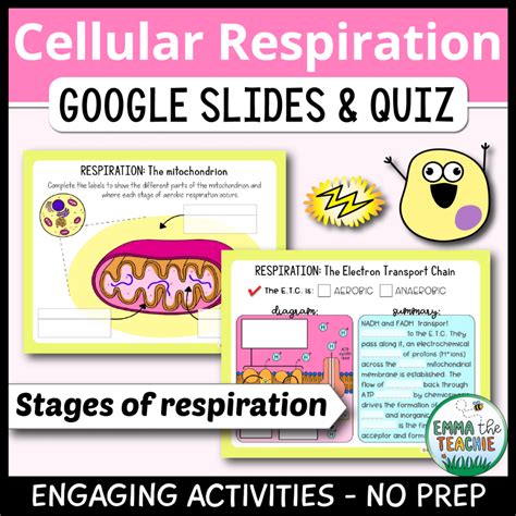 How To Teach Cellular Respiration In High School Biology Emmatheteachie