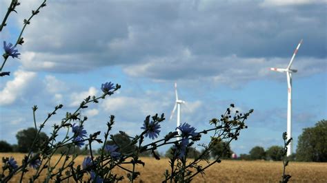 Windkraftanlagen In Ha Loch Energieprojekte In B Rgerhand Ha Loch