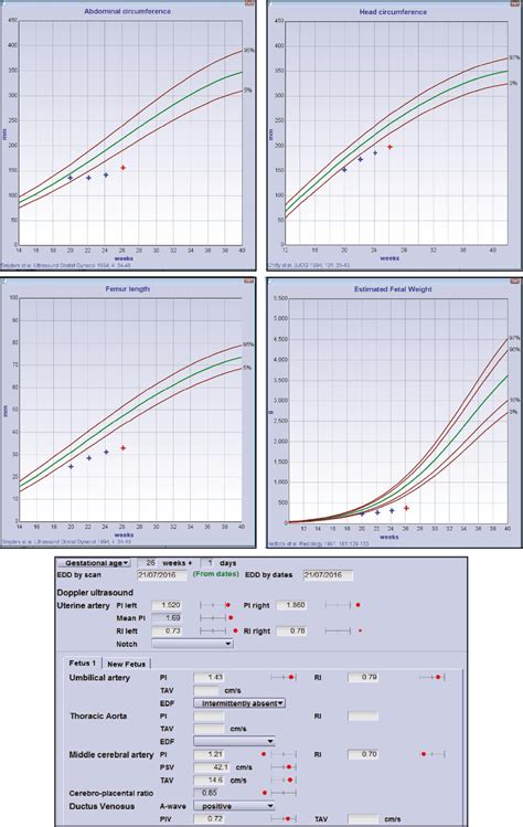 chapter  differential diagnosis  fetal growth restriction obgyn key