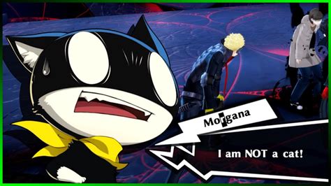 Persona 5 Royal Funny Moments Is Morgana A Cat Backlog Gaming