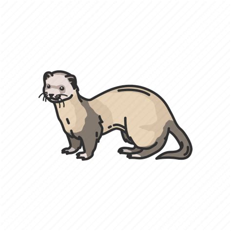 Otters Png Hd Isolated Png Mart