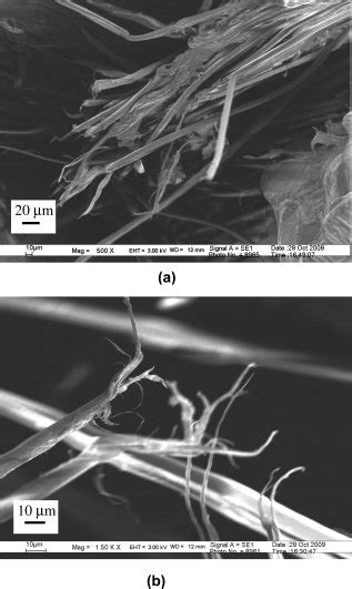 SEM Micrograph Of Fractured Fibers In Twaron PP Composite A