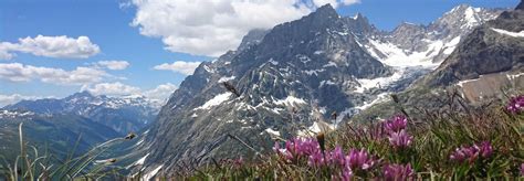 Tour du Mont Blanc Highlights: Trek challenge to France