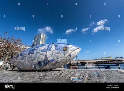 Statue In Belfast High Resolution Stock Photography And Images Alamy