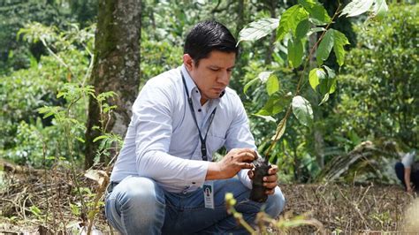 La gestión forestal Acciones claves en la conservación de la