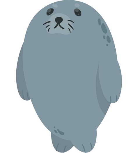 Baby Seal PNGs for Free Download
